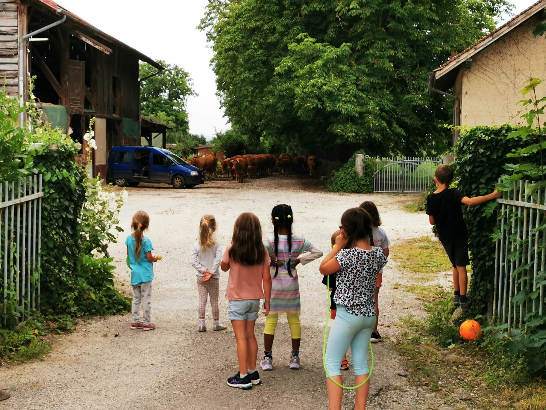 Des enfants lors du camp culturel à Veyrier